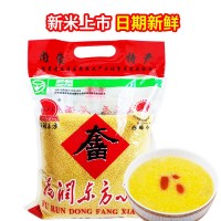 【一件代發(fā)】福潤(rùn)東方2022年新小米內(nèi)蒙古赤峰大金苗小米粥5斤