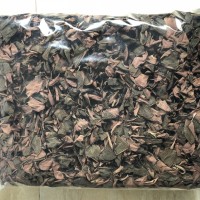 南靖本地紅霞金線蓮干品 1斤 葉背紅 煮水紅 整株500克