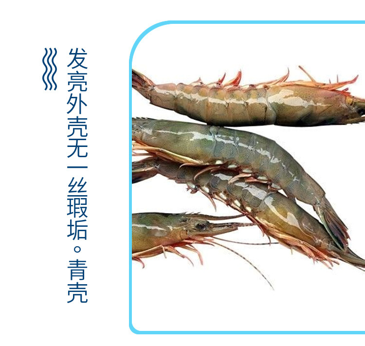 詳情-07.jpg