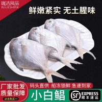 小號(hào)銀鯧魚(yú)鮮活海捕海鮮新鮮冷凍白鯧魚(yú)鳊魚(yú)平魚(yú)水產(chǎn)批發(fā)順豐冷鏈