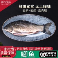 定制淡水鯽魚(yú)三去鯽魚(yú)鮮活現(xiàn)殺燉湯非冷凍新鮮大鯽魚(yú)質(zhì)量保障