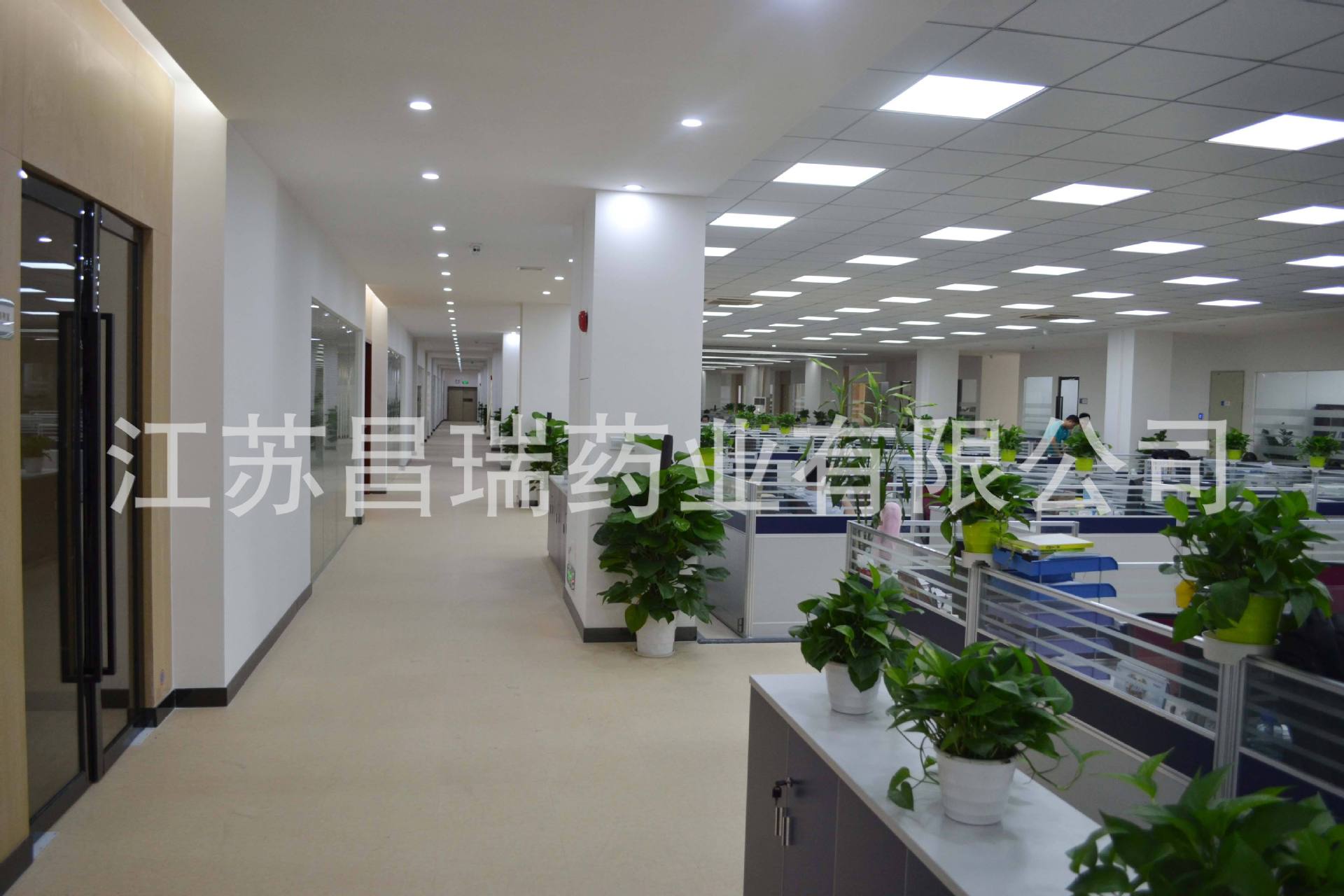 QQ圖片20190412211445.jpg