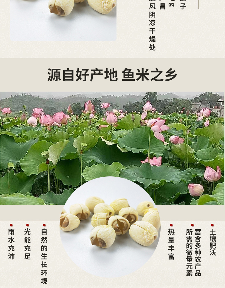 圖層 3