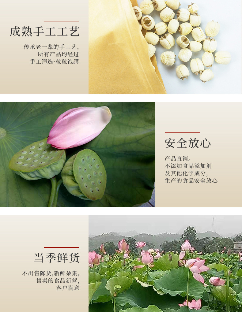 圖層 5