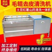 自動(dòng)土豆去皮毛輥清洗機(jī) 蘿卜海蠣子清洗機(jī) 小型不銹鋼牡蠣去泥機(jī)