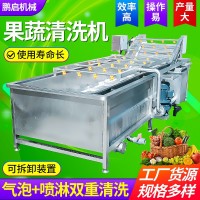 全自動(dòng)商用果蔬清洗機(jī) 多功能水果氣泡清洗機(jī) 沖浪式蔬菜清洗機(jī)
