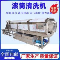毛刷滾筒清洗機 丹參人參中藥材清洗設(shè)備 油污袋子全自動洗袋機