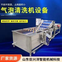 筷子 氣泡清洗機(jī)葉類蔬菜清洗果蔬清洗土豆蘿卜 清洗干凈省時(shí)省力