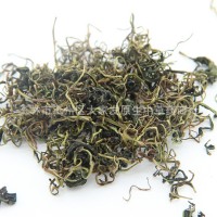 批發(fā)蒲公英茶 蒲公英 地攤跑江湖展銷會