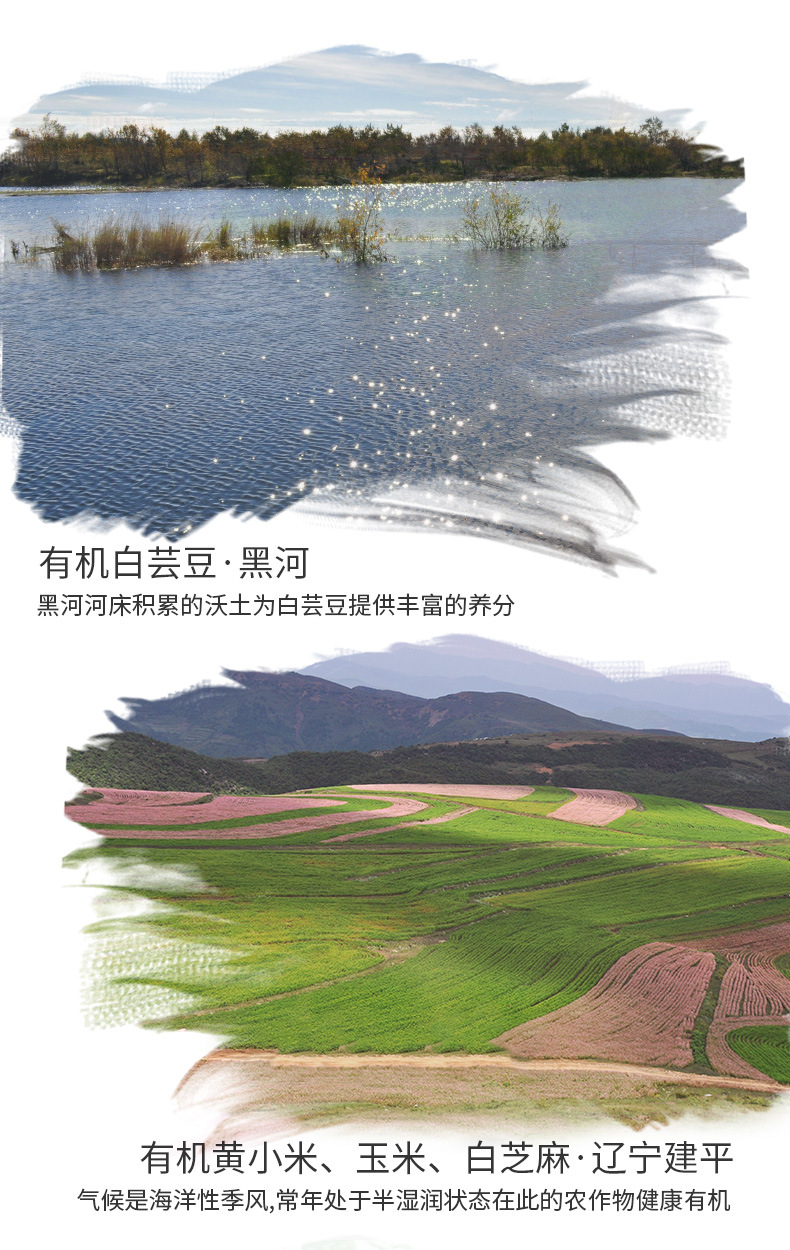有機(jī)黃金藜麥五谷粉_06
