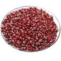 產(chǎn)地批發(fā)東北赤小豆 現(xiàn)貨批發(fā)散裝五谷雜糧長粒赤小豆 紅豆紅小豆