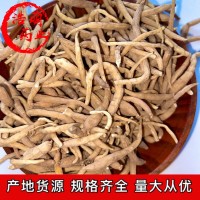 產(chǎn)地貨源 批發(fā)中藥材太子參 新貨太子參 各種規(guī)格 常年供應(yīng)大貨