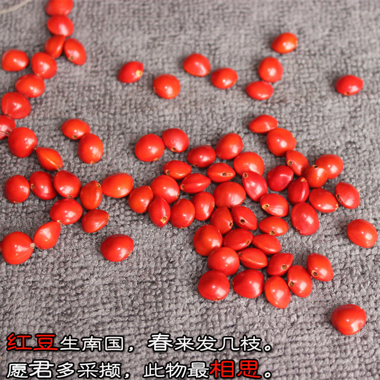 打孔紅豆13