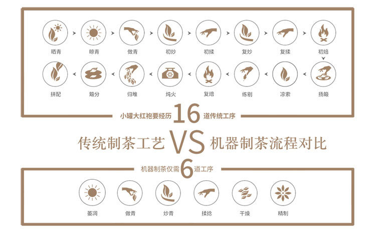 小罐裝10罐大紅袍_08