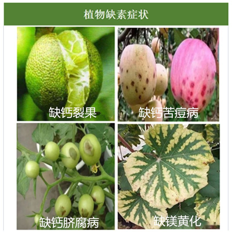 春迪使用癥狀未命名_副本(1)