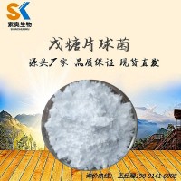 戊糖片球菌 100億/g 廠家直銷 益生菌粉 飼料添加 乳酸菌原料