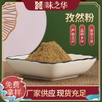孜然粉廠家供應(yīng)椒鹽烤肉料裝烤串料撒粉羊肉串燒烤料孜然粉