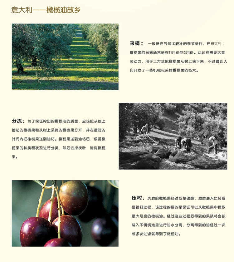 德科橄欖油1L詳情_06