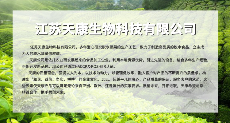 公司介紹