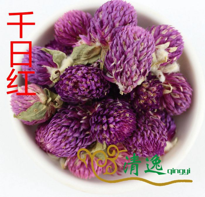 千日紅