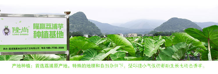 芋塊類(lèi)_08.jpg