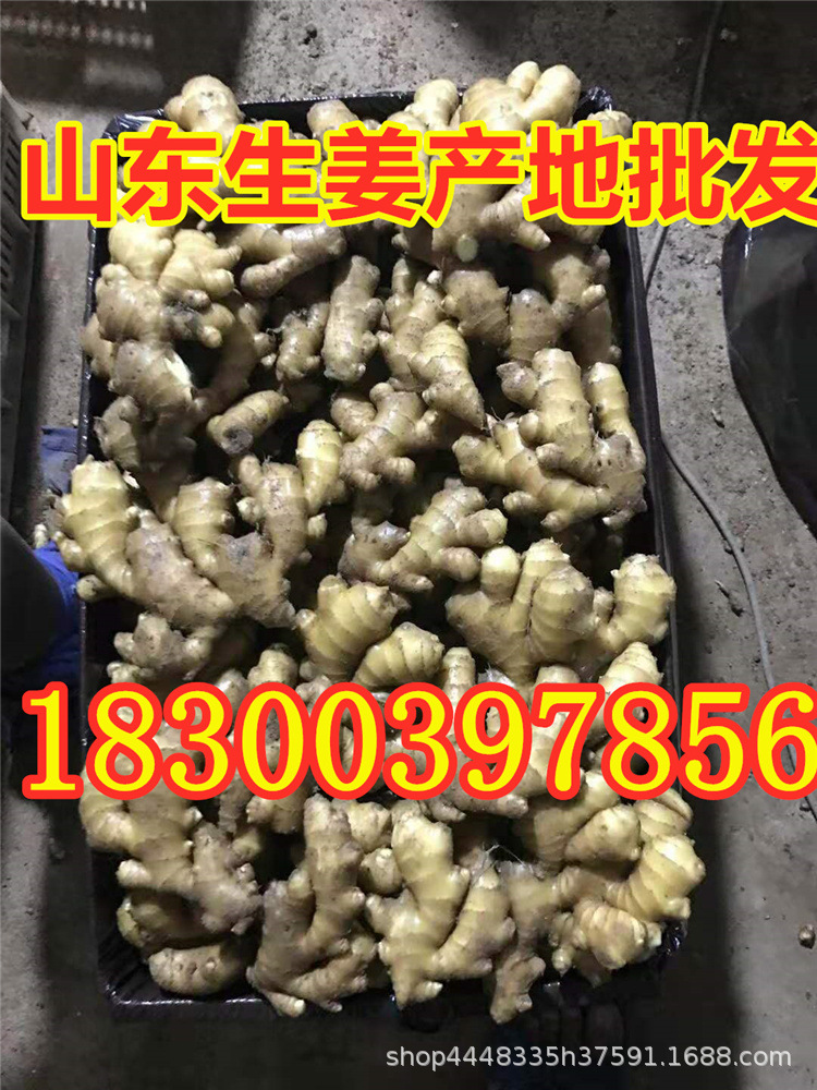 微信圖片_20201202201355.jpg