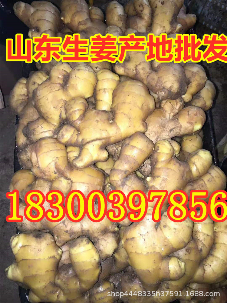 微信圖片_20201202201428.jpg