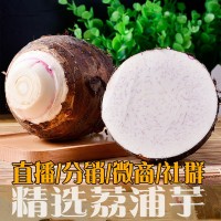 廣西特產(chǎn)正宗荔浦芋頭蔬菜現(xiàn)挖檳榔芋香芋餐飲火鍋量大一件批發(fā)