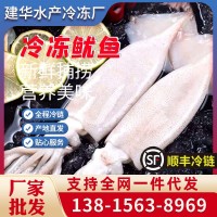 批發(fā)魷魚10斤起 鮮活深海捕冷凍水產(chǎn)野生新鮮大魷魚尤魚整只