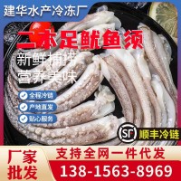 二本足魷魚須 去頭魷魚新鮮速凍海鮮非章魚足 燒烤火鍋炸串食材