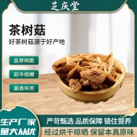 茶樹菇干貨新貨不開傘茶樹菇更嫩煲湯特產(chǎn)批發(fā)