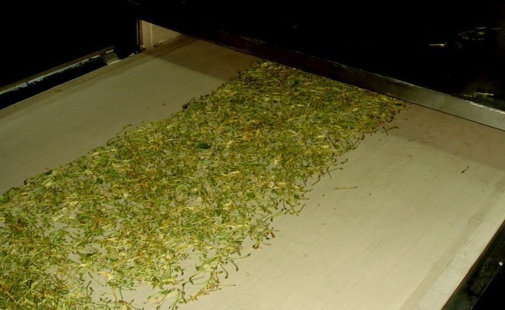 金銀花烘干