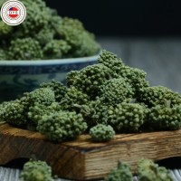 云南文山三七花 三年三七花 田七花茶批發(fā) 一手貨源 產(chǎn)地直供