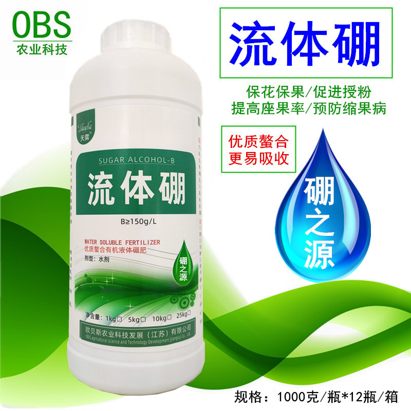 流體硼_副本