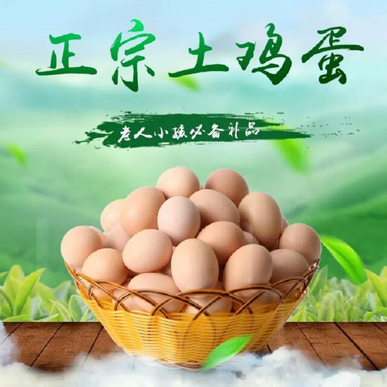高清 圖 (2)