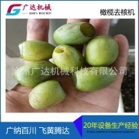 廠家直供 全自動新款去核機 橄欖去核機 果蔬機械設備