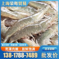 冷凍南美秘魯白蝦鮮活超大白蝦 鮮蝦冷凍海鮮水產(chǎn)餐廳海鮮商用