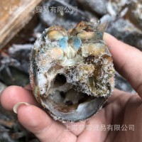 【龍蝦頭】加拿大進口波龍頭 熬湯做醬用冷凍加拿大波士頓龍蝦頭