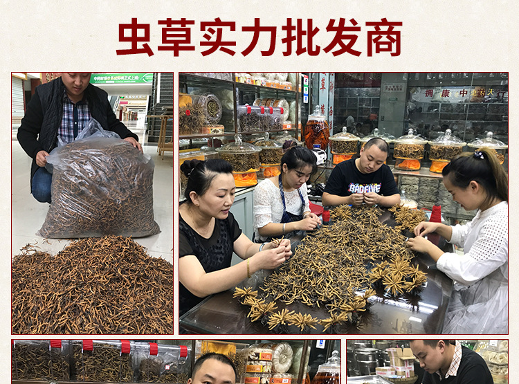 750-新鮮蟲草_08