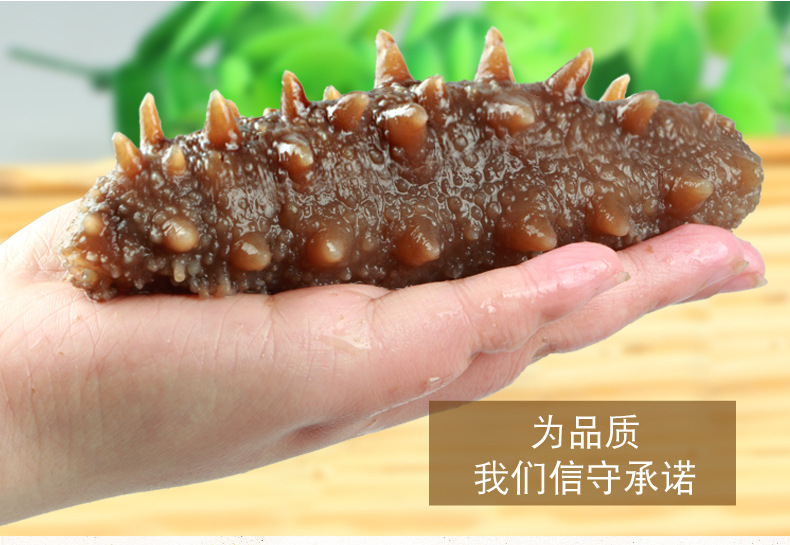 純淡干詳情優(yōu)化-定稿_10