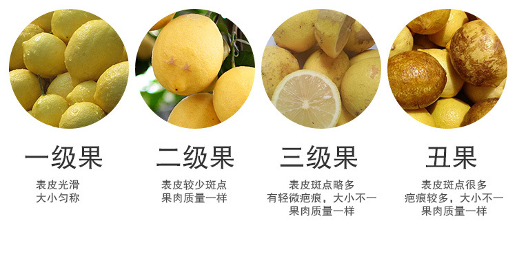 青檸檬詳情頁9_07