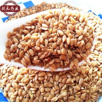 中藥材批發(fā)黃金亞麻子熟亞麻籽亞麻籽仁一件代發(fā)產(chǎn)地貨源