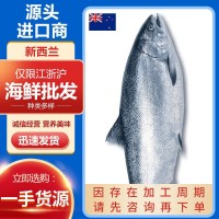 新西蘭冰鮮大鱗大麻哈魚三文魚刺身帝王鮭整條8-9斤即食預(yù)售