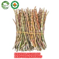 霍山新鮮有機(jī)鐵皮石斛 傳統(tǒng)滋補(bǔ)品 石斛鮮條 4年山里富硒鐵皮石斛