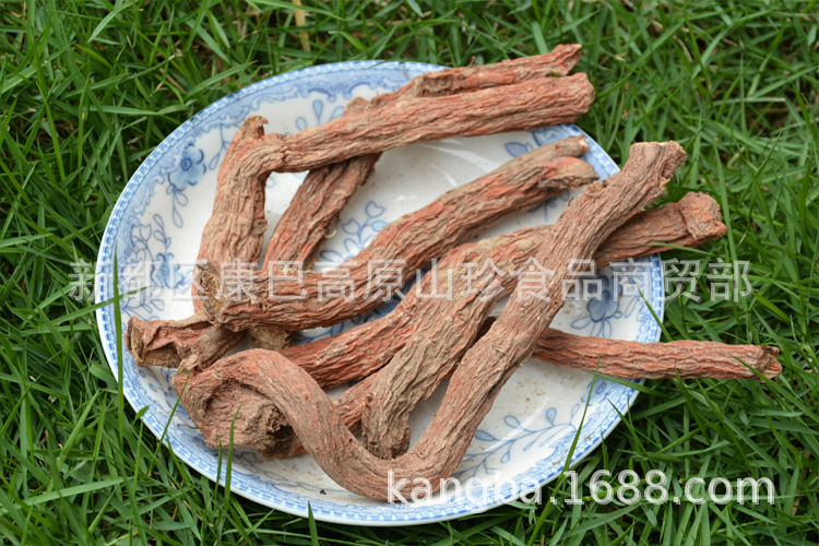 丹參750-10.jpg