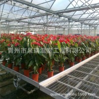 廠家生產(chǎn)移動苗床 固定苗床 潮汐苗床 雙層多層養(yǎng)花育苗苗床