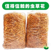 蟲(chóng)草花1kg裝產(chǎn)地批發(fā)蛹蟲(chóng)草新會(huì)北蟲(chóng)草金蟲(chóng)草排草
