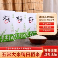 京貢 東北大米禮盒五常大米稻花香長(zhǎng)粒香產(chǎn)地批發(fā)