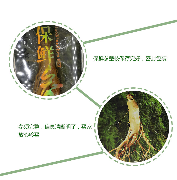 詳情頁_10
