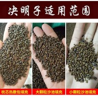 廠家現(xiàn)貨決明子兒童玩具沙灘枕芯填充農(nóng)產(chǎn)品炒熟決明子茶散裝批發(fā)